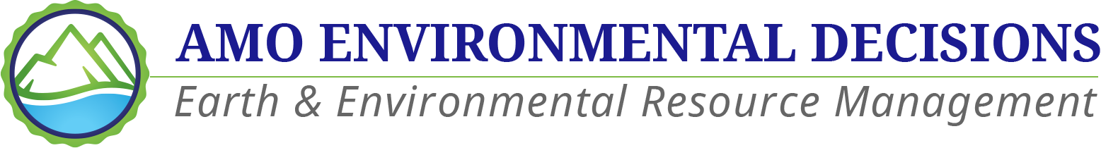 AMO Environmental Decisions